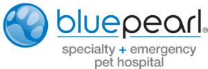 blue pearl logo