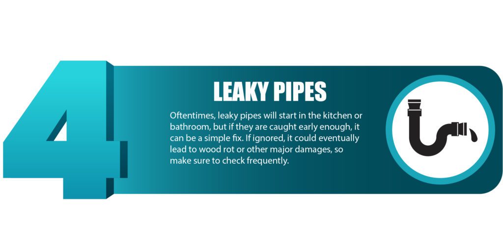 leaky pipes, plumbing problems