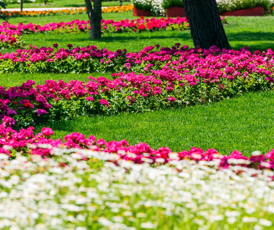 the power of petals, petal power, flower power, flowers for commercial properties, flowers in commercial landscaping, flower, flowers, property beautification, landscaping near me, snow removal near me, grounds maintenance, curb appeal, landscaping, landscaping maintenance, spring cleanup, spring landscaping services, wedding season, graduation season, outdoor events, outdoor event landscaping preparation, landscaping for the summer season, commercial landscaping cleanup services, professional landscaping and hardscaping