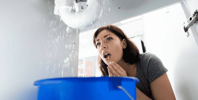 woman with plumbing leak, plumbing tips,